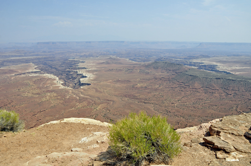 Buck Canyon Overlook at Canyonlands